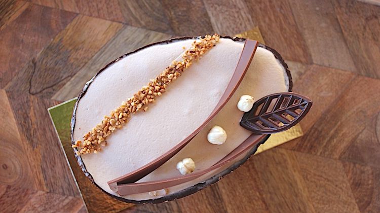 COUP DE CŒUR – Le Bigourdan Tom Lesgards à la baguette de Noir ou Blanc